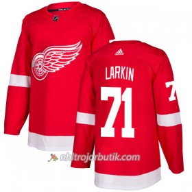 Män Ishockey Detroit Red Wings Tröja Dylan Larkin 71 Adidas 2017-2018 Röd Authentic